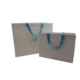 Wholesale Custom Design Eco-Friendly Shopping Paper Bags with Handles