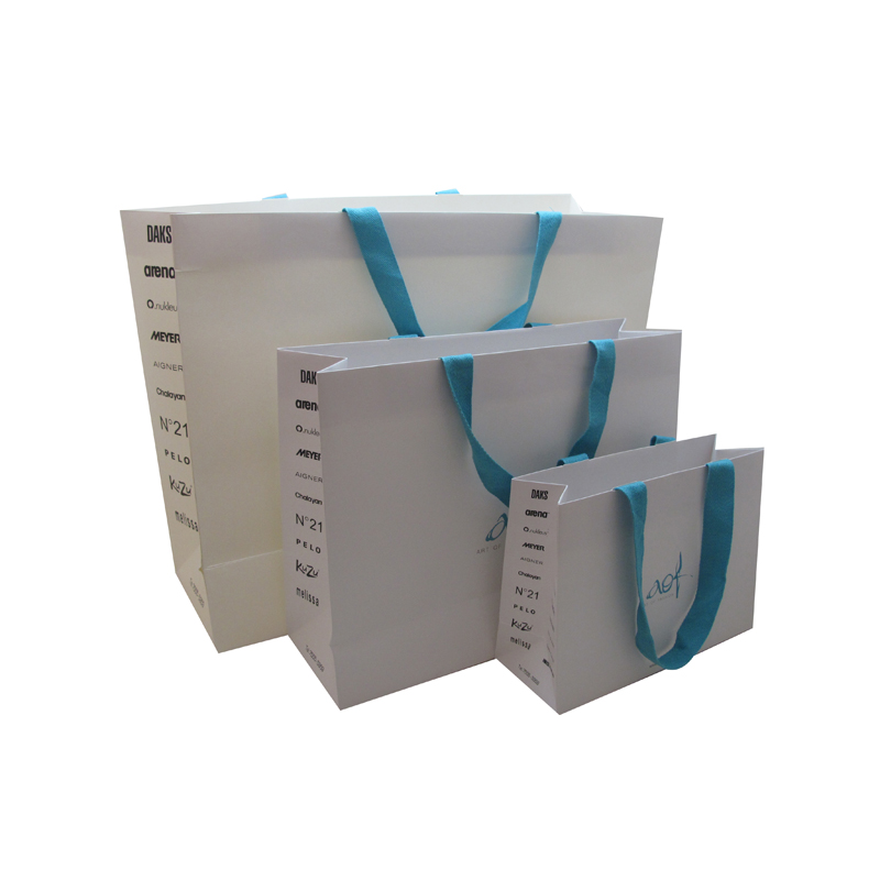 Wholesale Custom Design Eco-Friendly Shopping Paper Bags with Handles